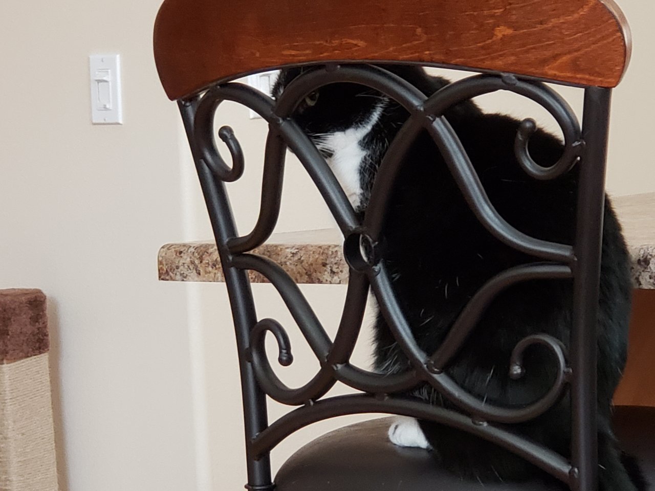 20190805_161833.jpg