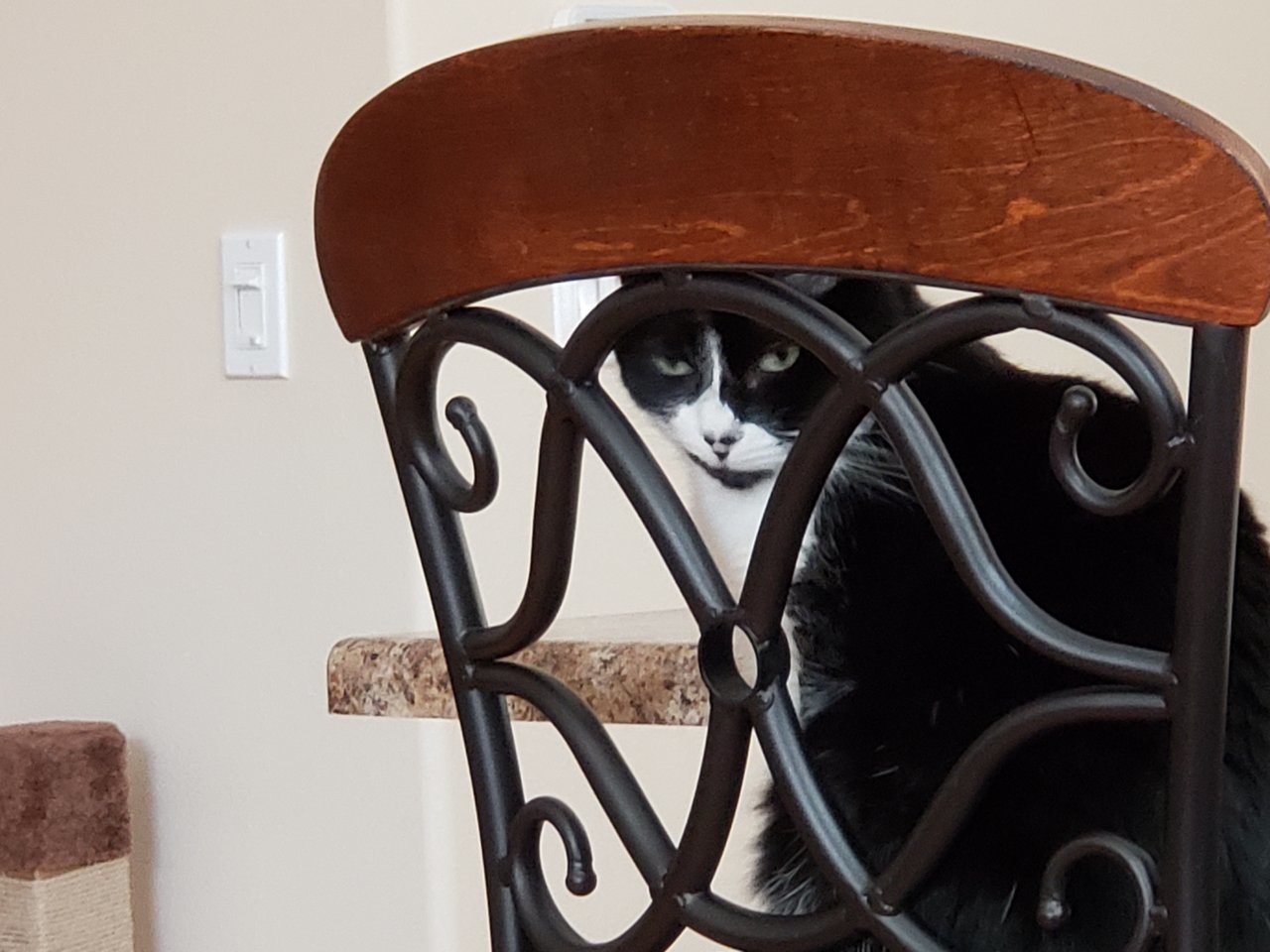 20190805_161959.jpg