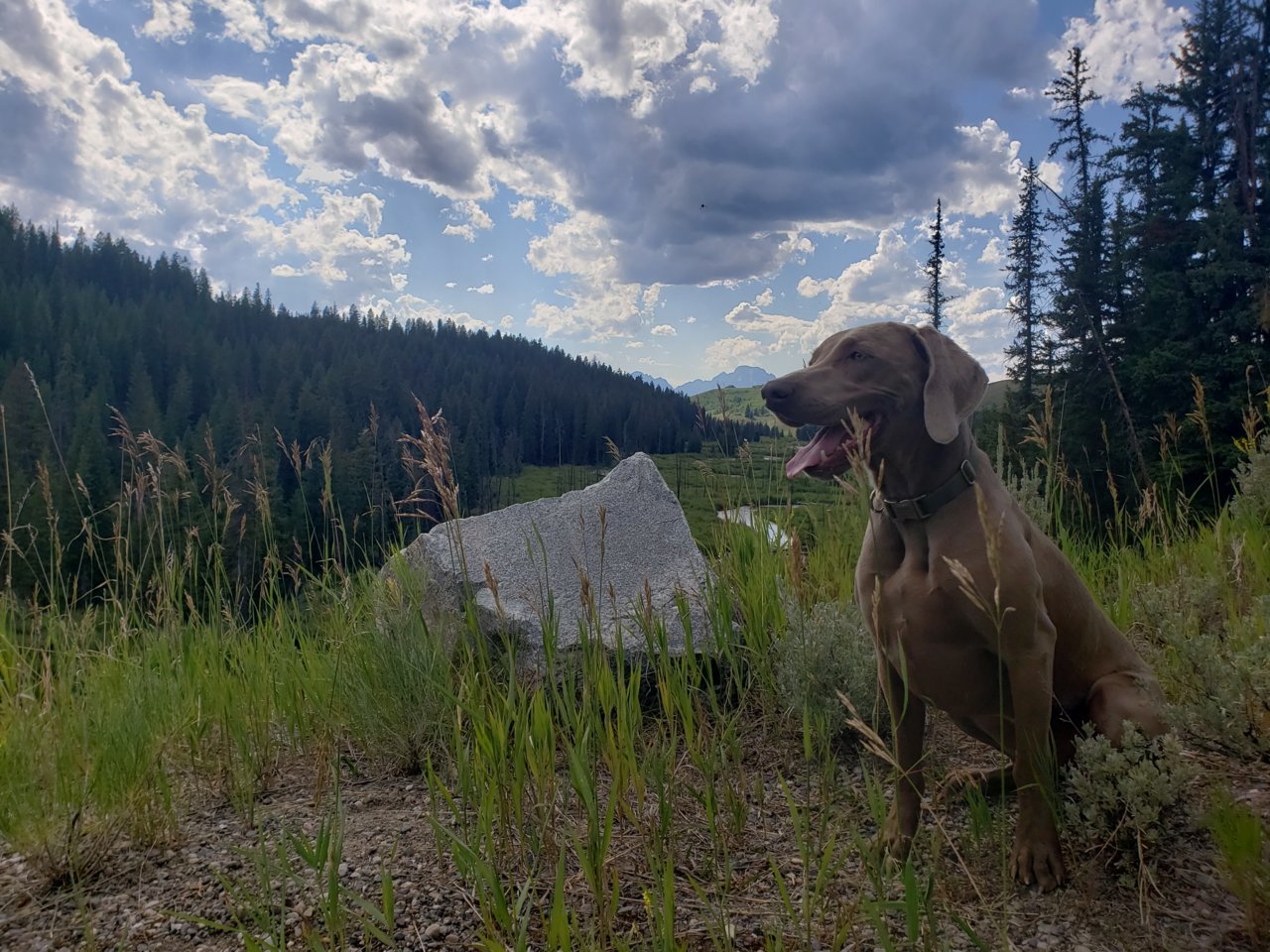 20190805_165518.jpg