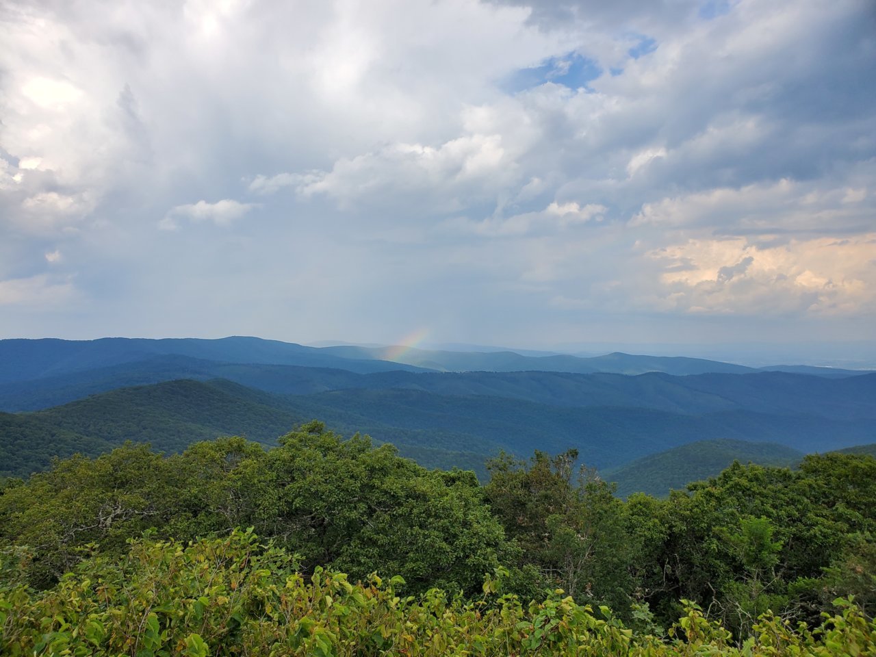 20190805_173149.jpg