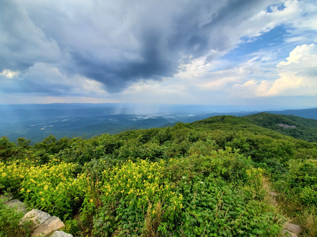 20190805_173221.jpg