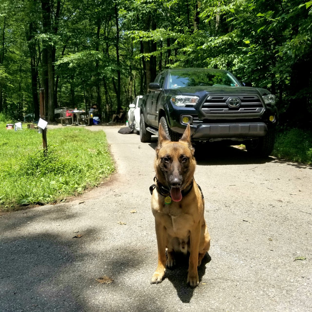 20190805_182607.jpg