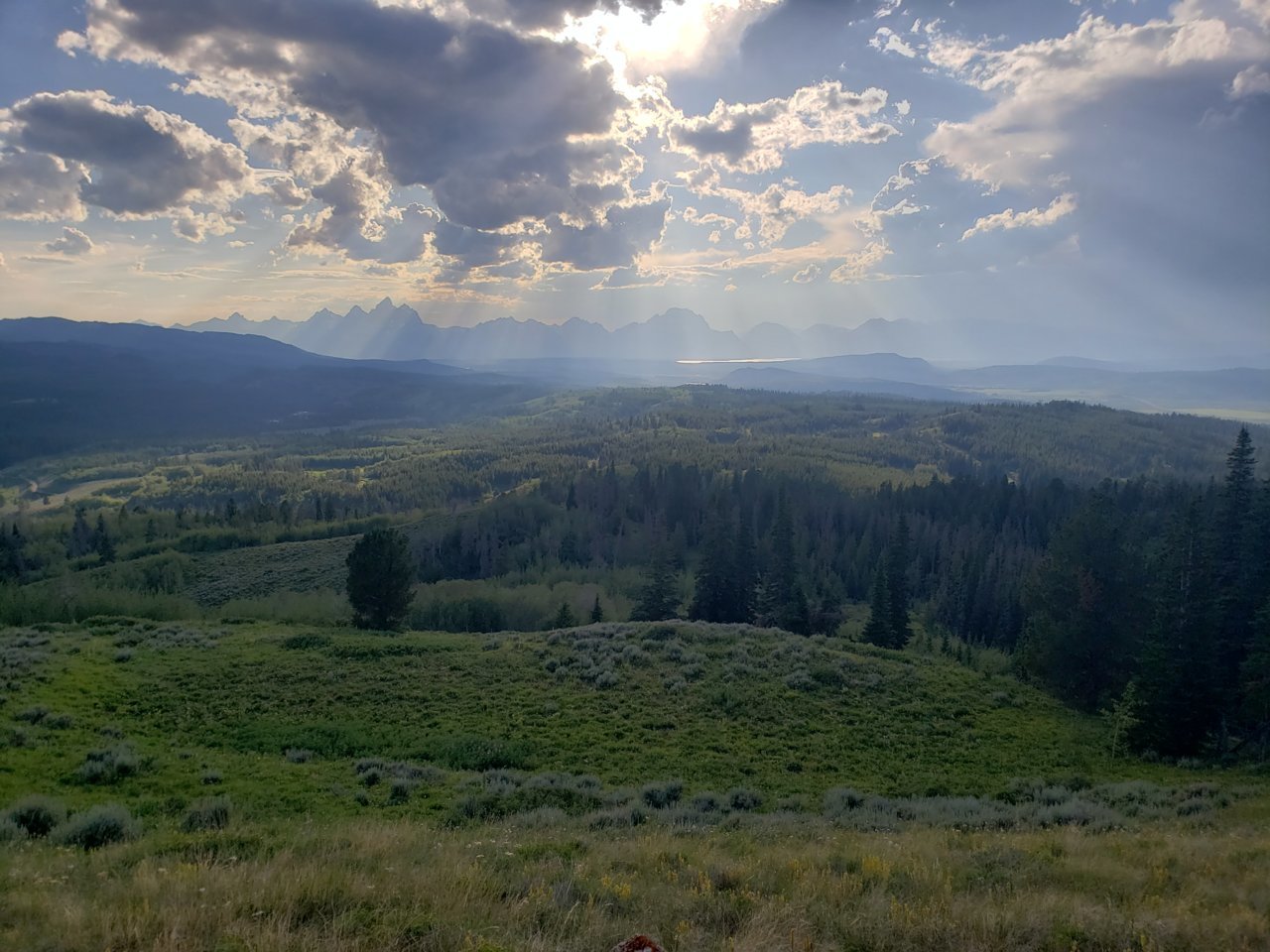 20190805_185217.jpg
