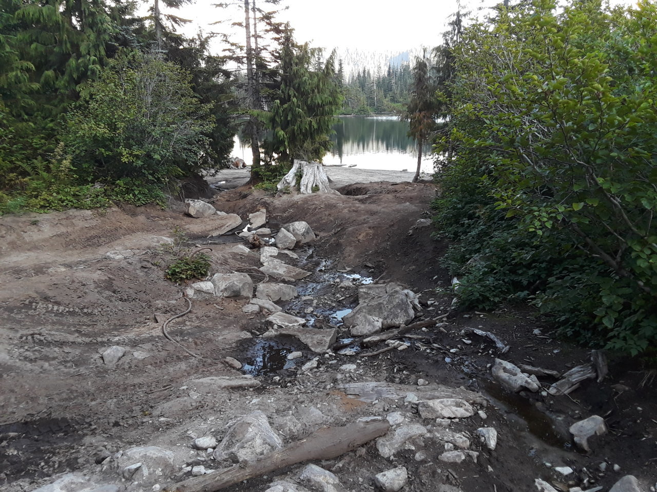 20190805_190448.jpg