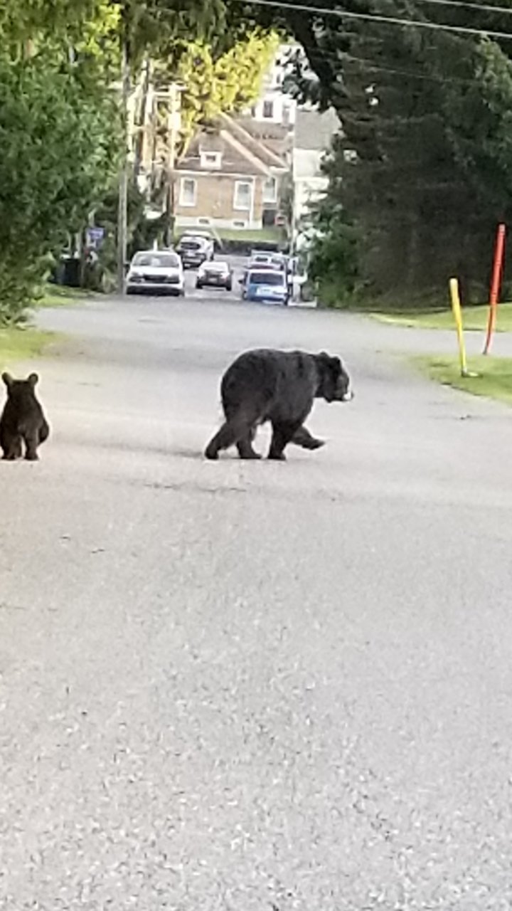 20190805_192526.jpg