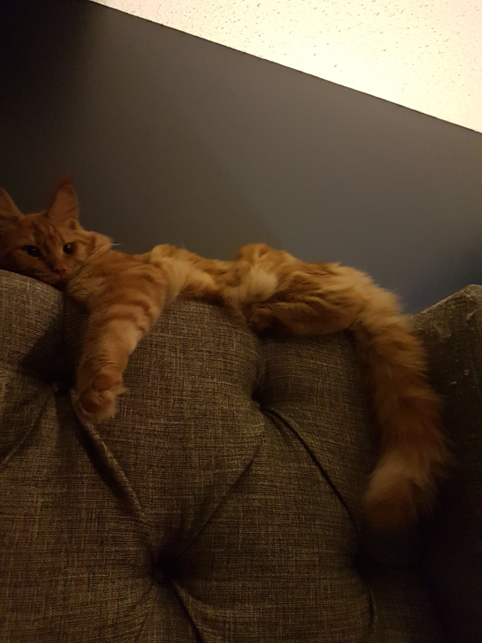 20190805_222855.jpg