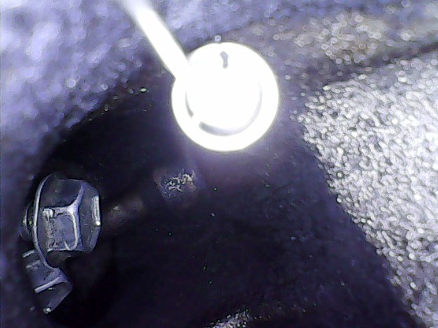 20190805_2237018.jpg