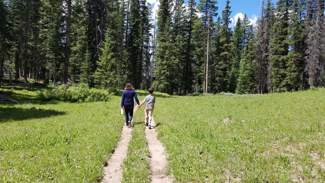 20190806_121151.jpg