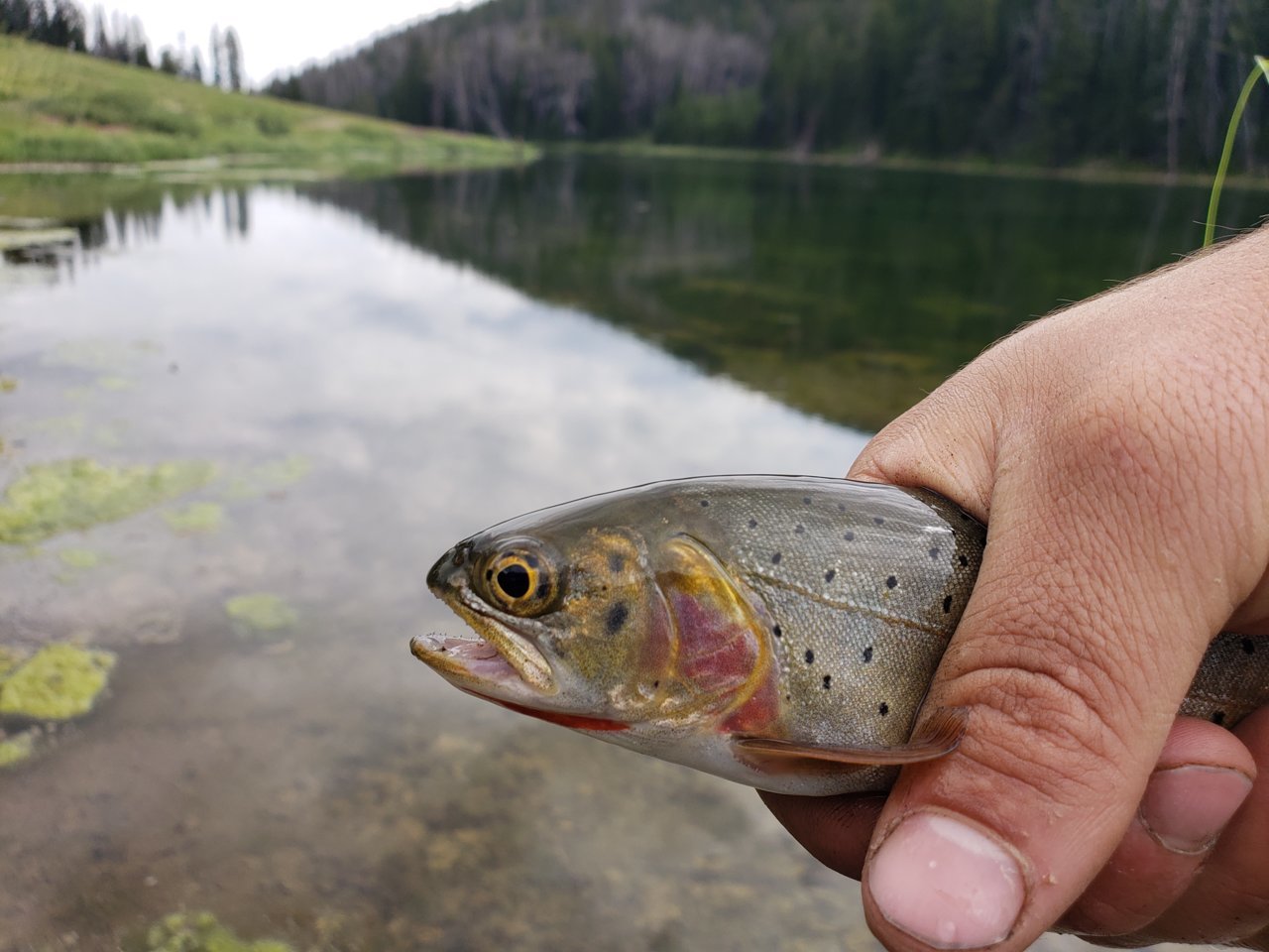 20190806_125147.jpg