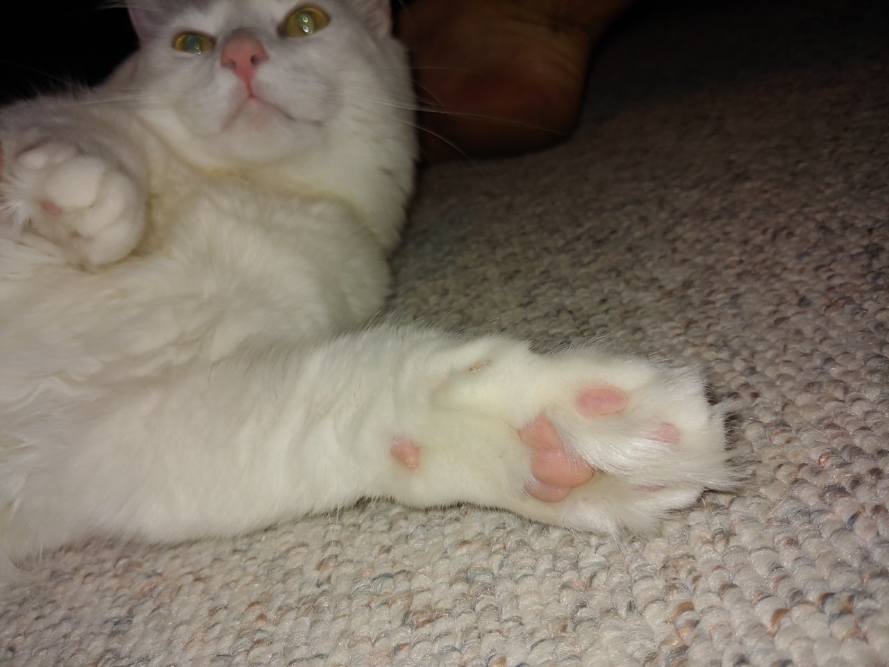 20190806_205516.jpg
