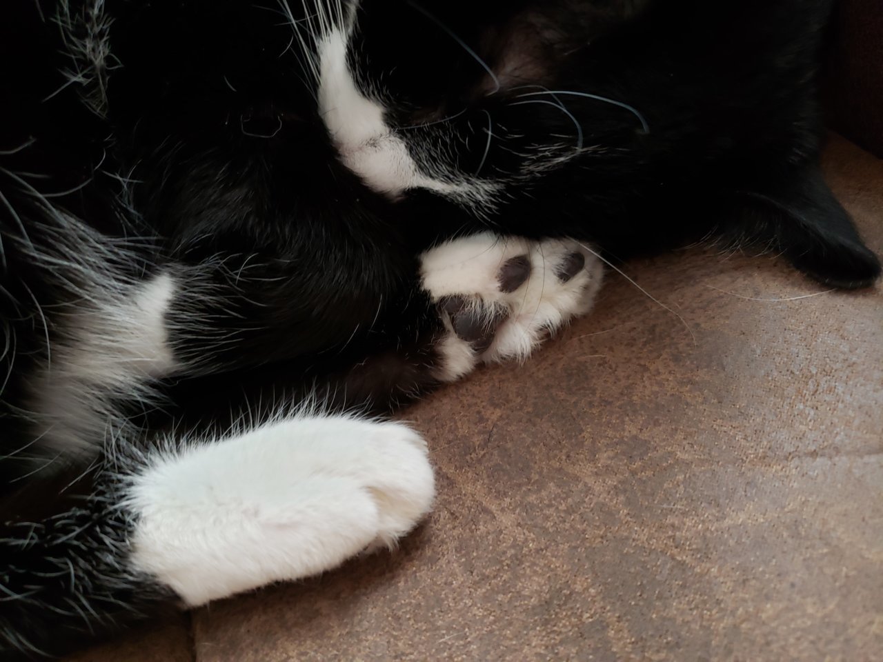 20190807_123100.jpg