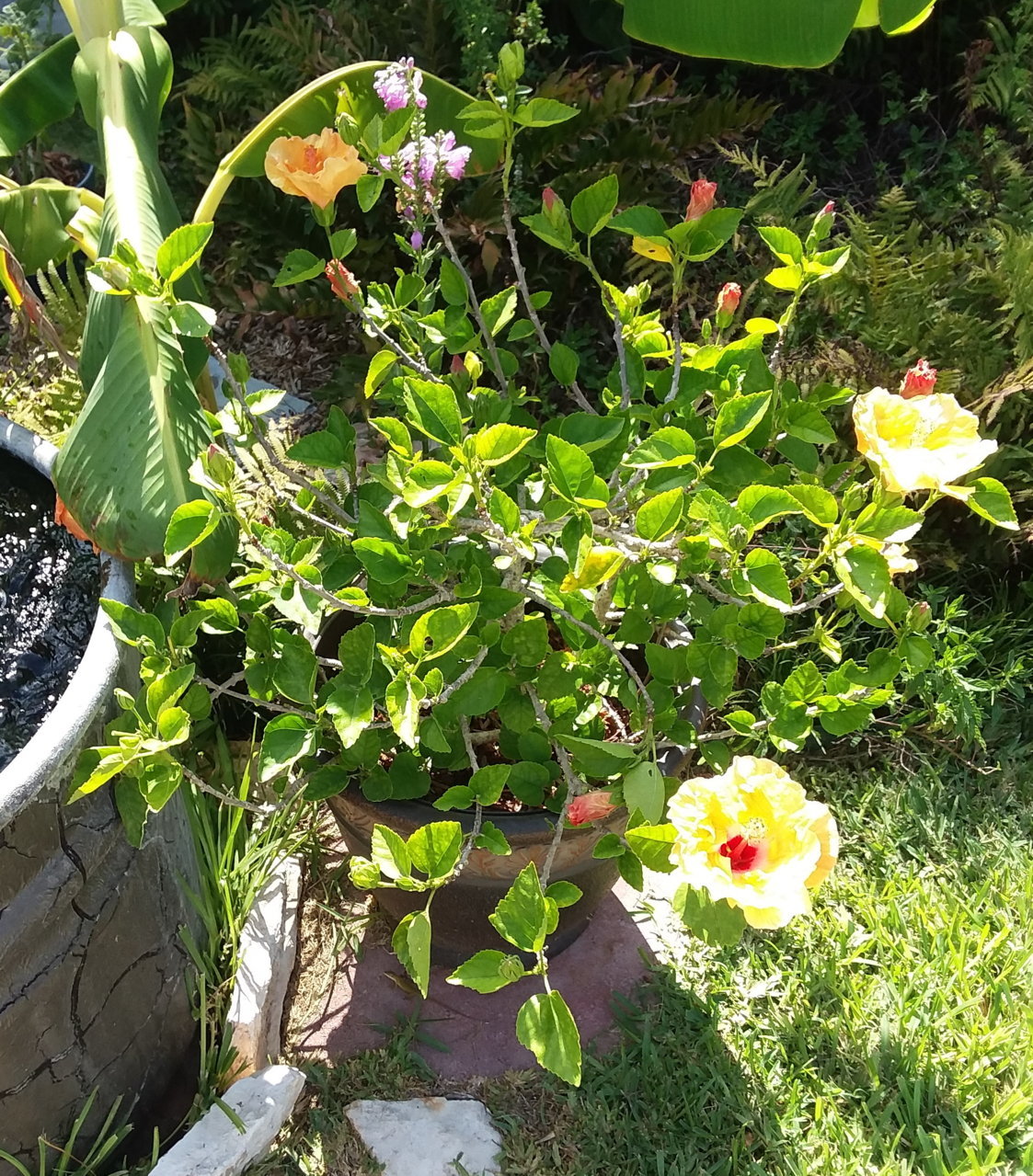 20190807_163644.jpg