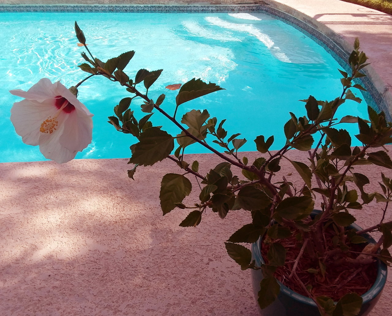 20190807_163708.jpg