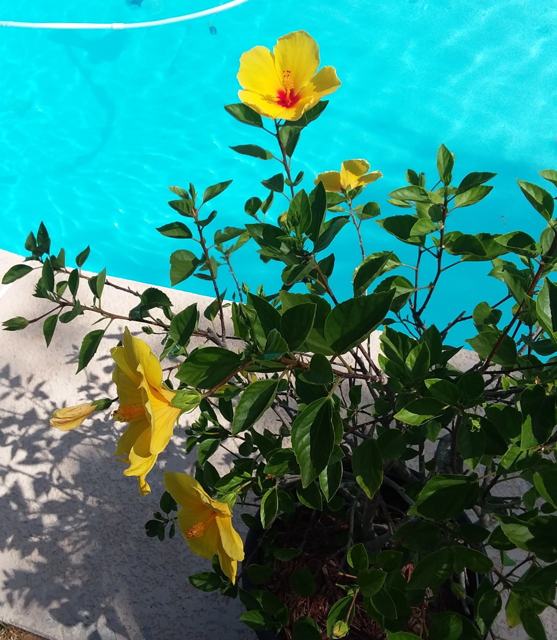 20190807_163720.jpg