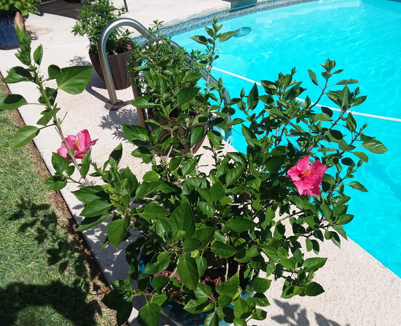 20190807_163727.jpg
