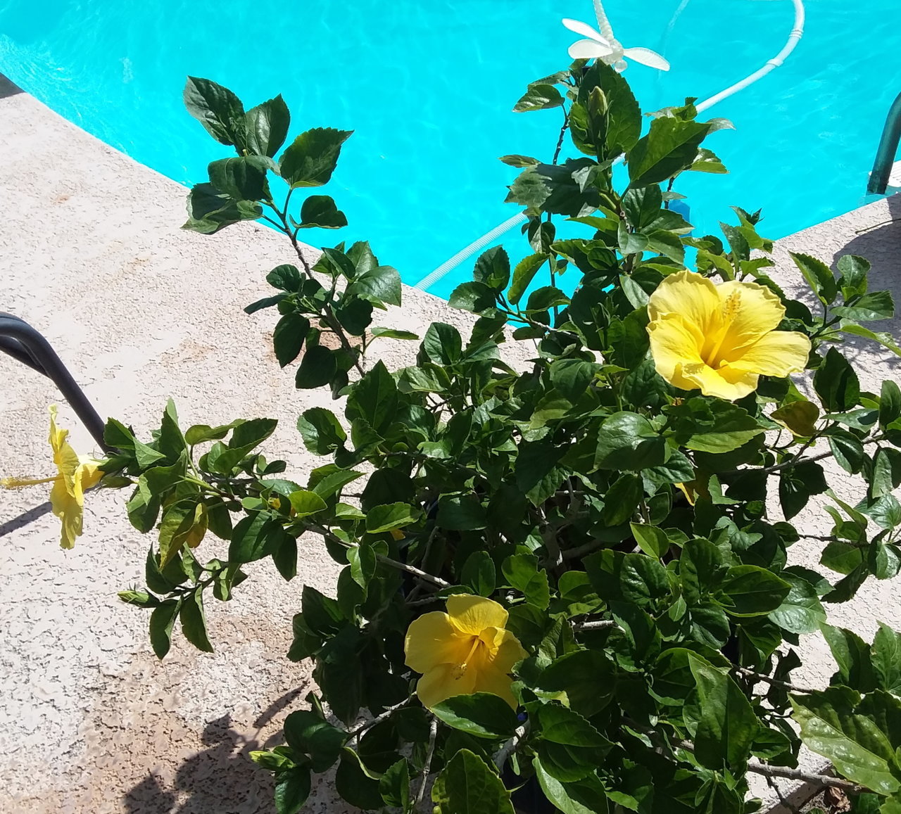 20190807_163741.jpg