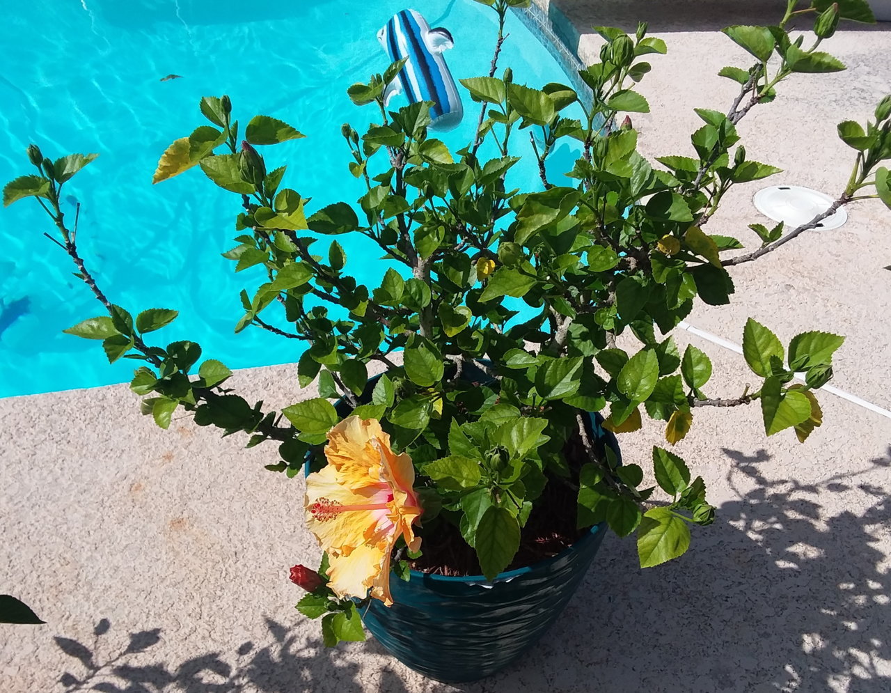 20190807_163809.jpg