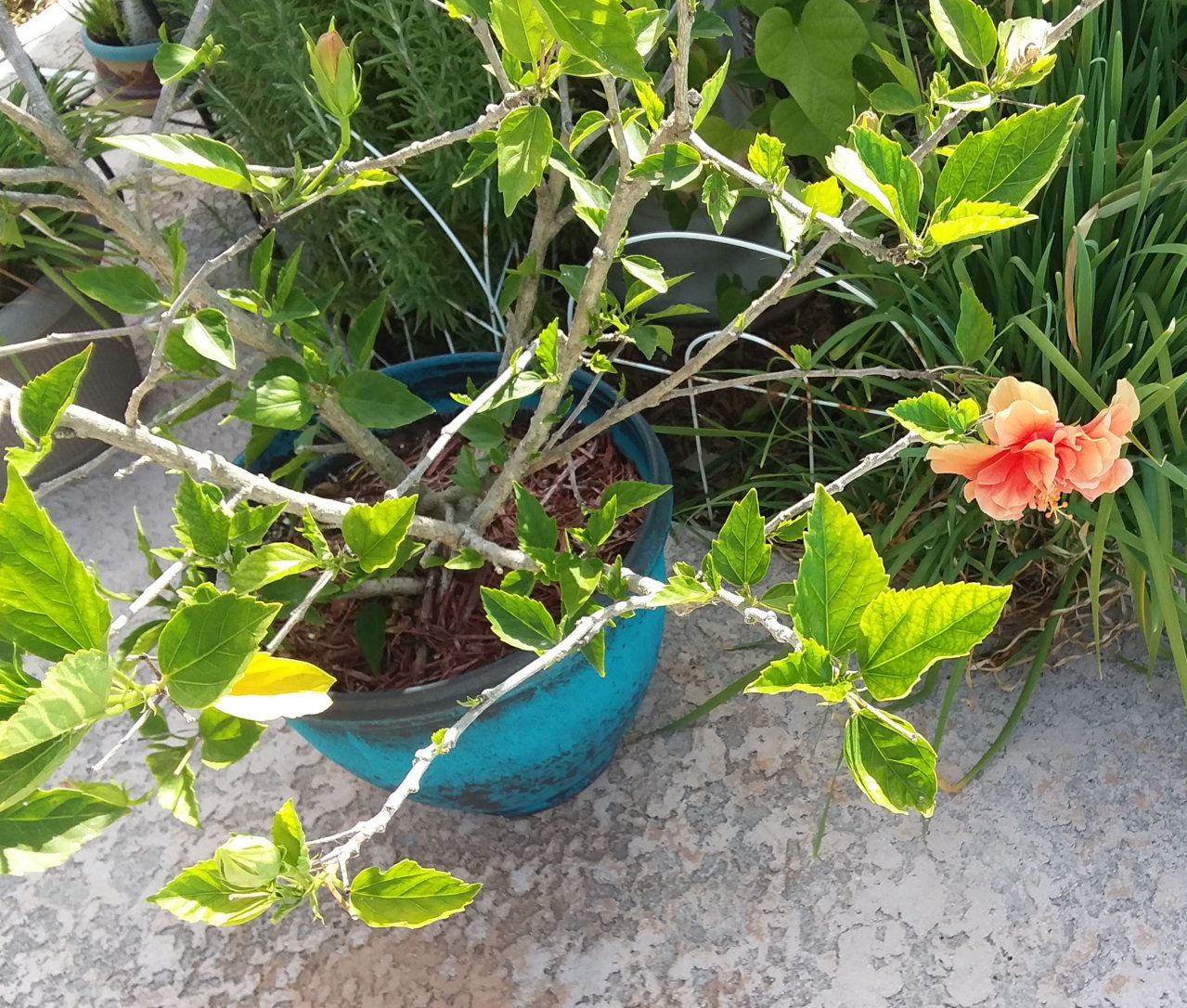 20190807_163828.jpg