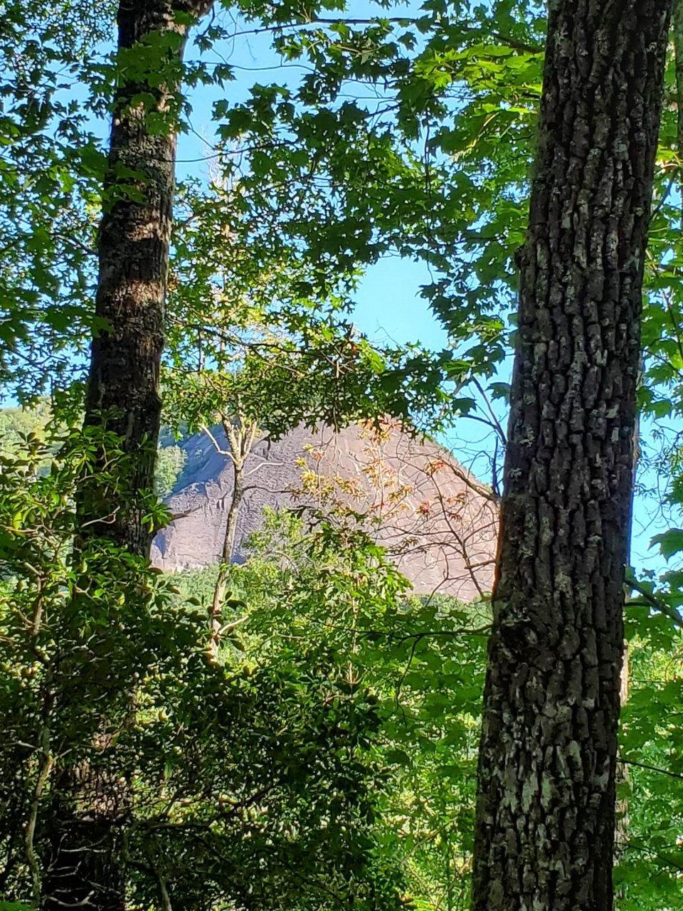 20190807_180251.jpg