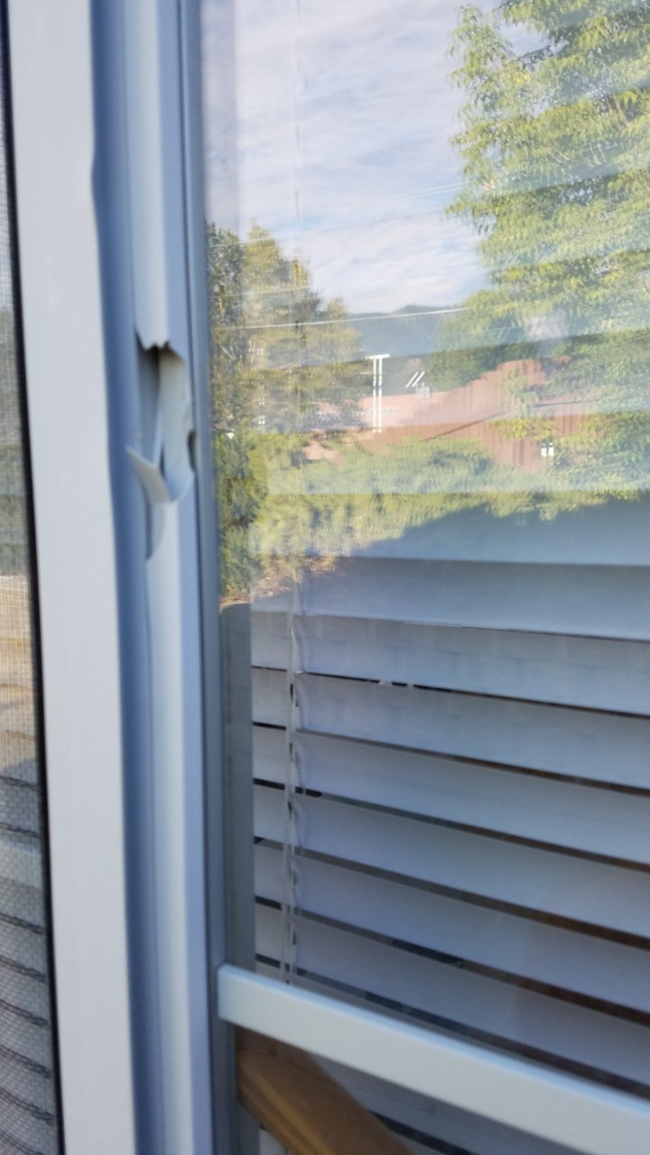 20190807_182515.jpg