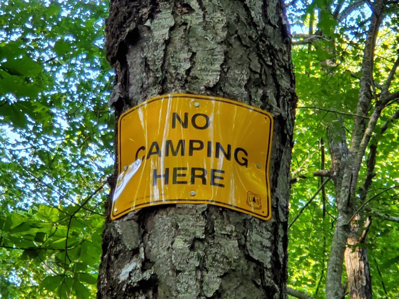 20190807_183141.jpg