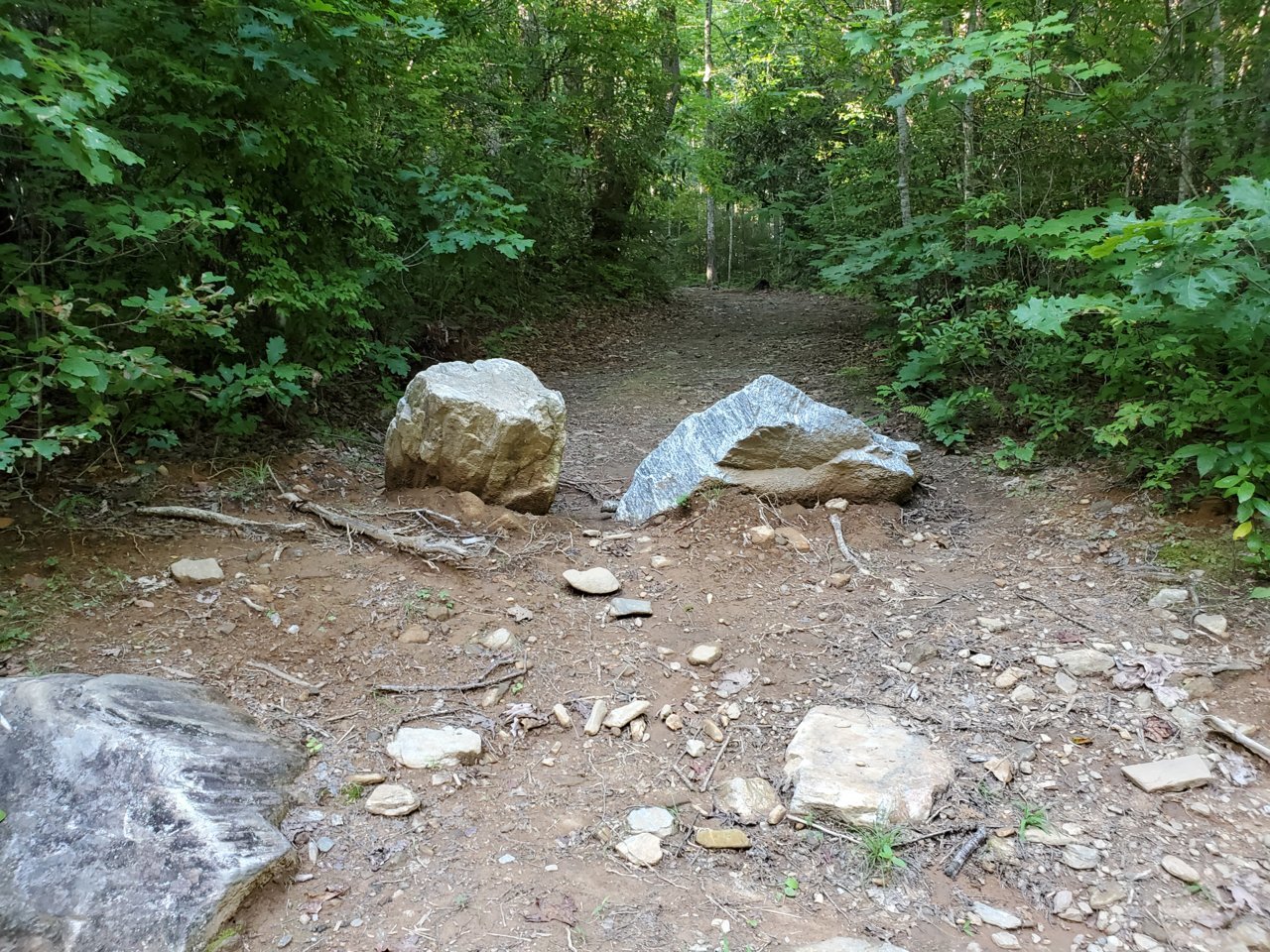 20190807_183228.jpg