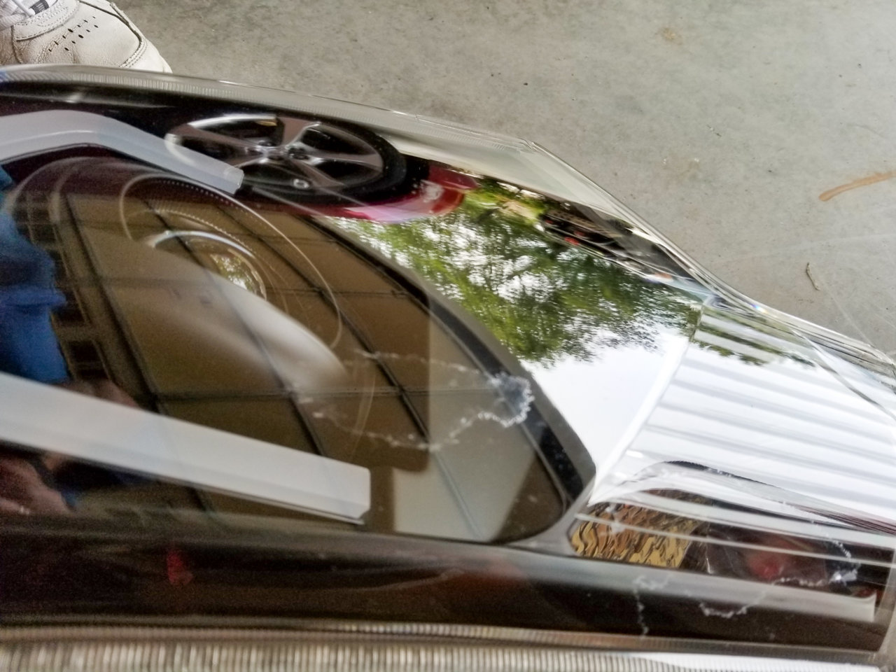 20190808_075909.jpg