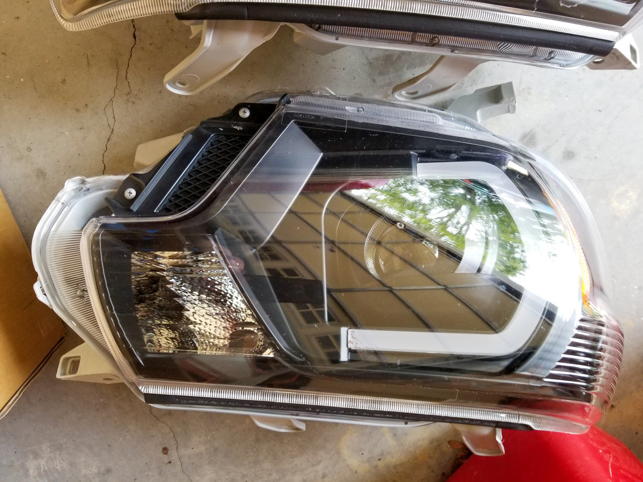 20190808_075917.jpg