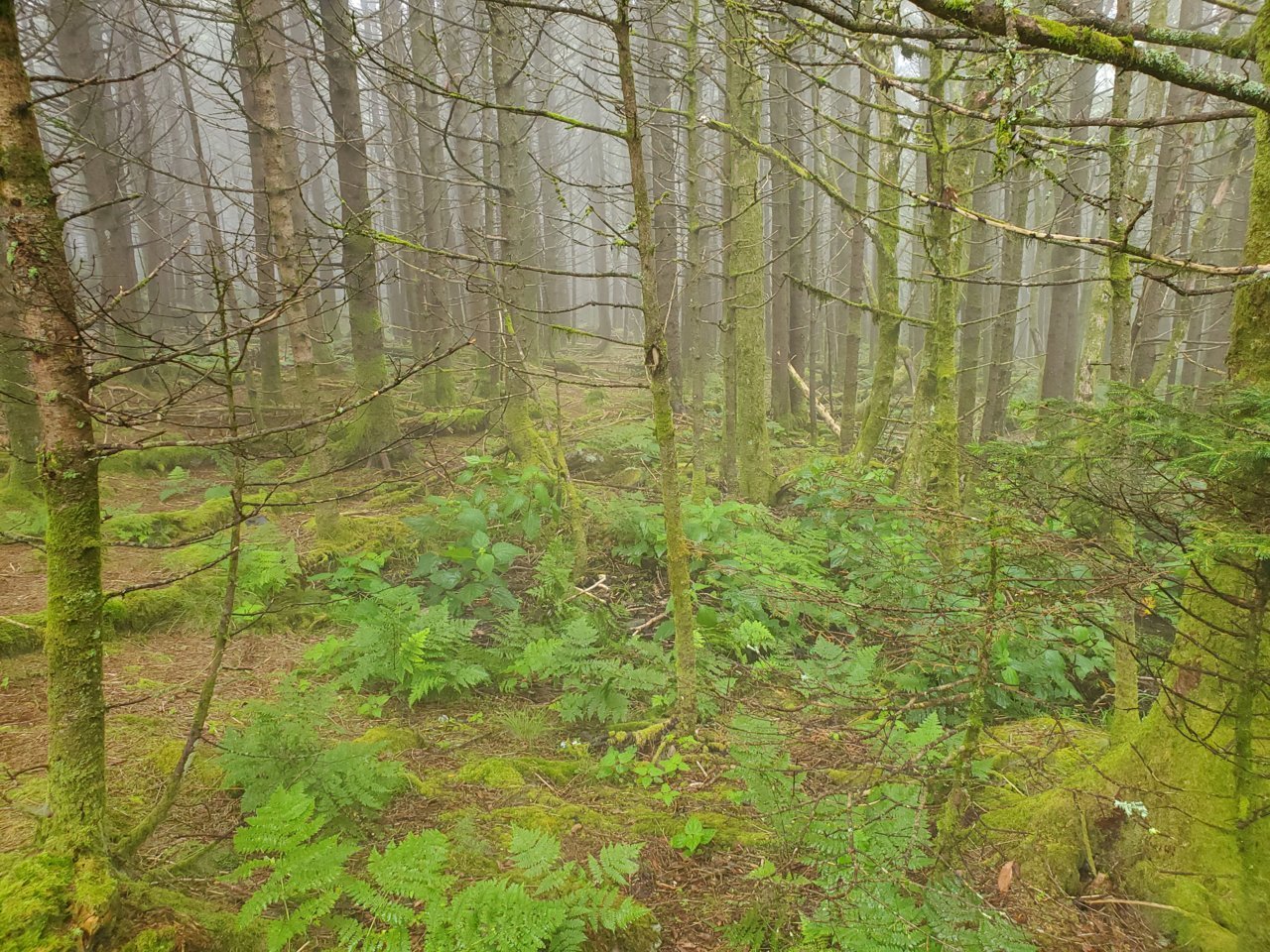 20190808_104511.jpg