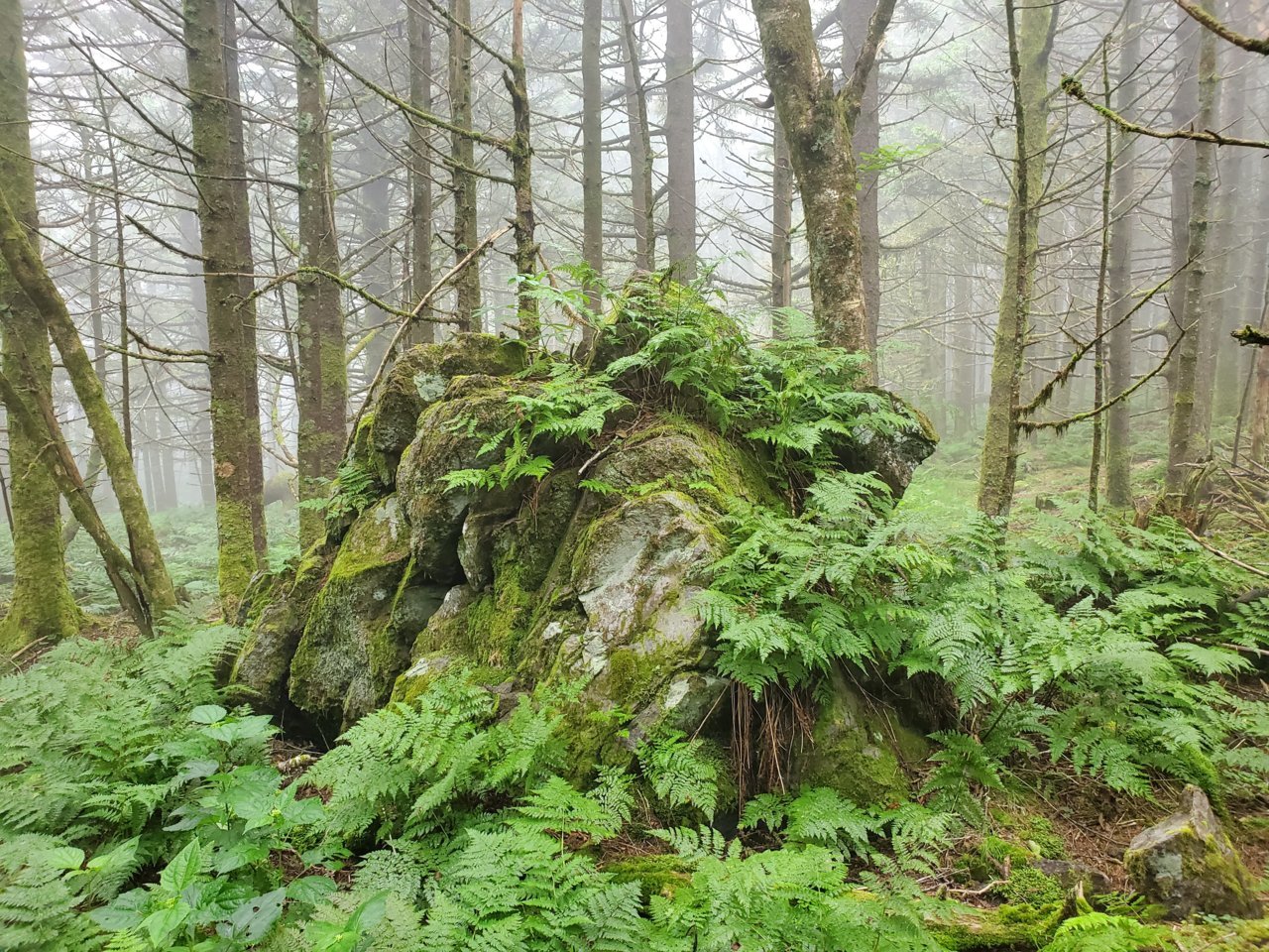 20190808_104600.jpg