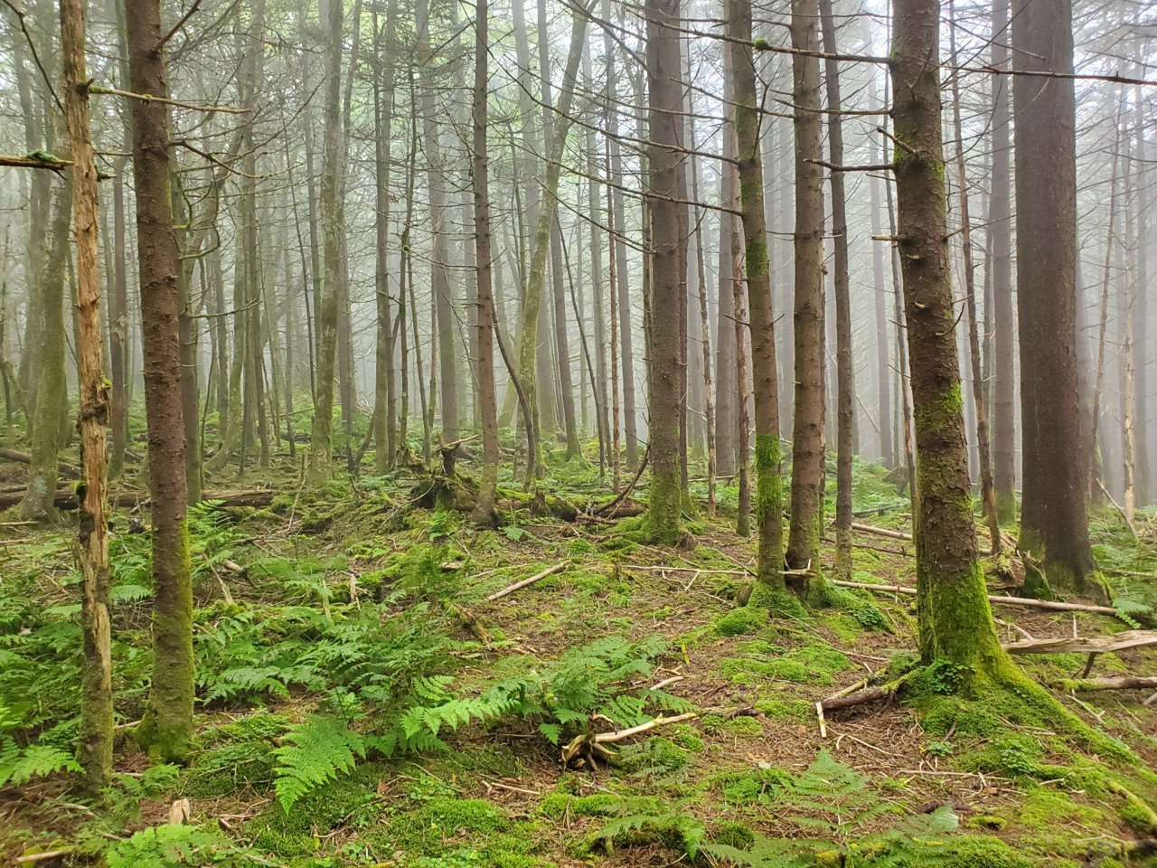 20190808_104738.jpg