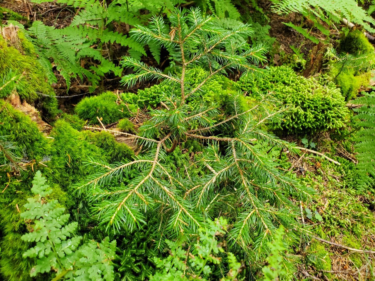 20190808_104947.jpg