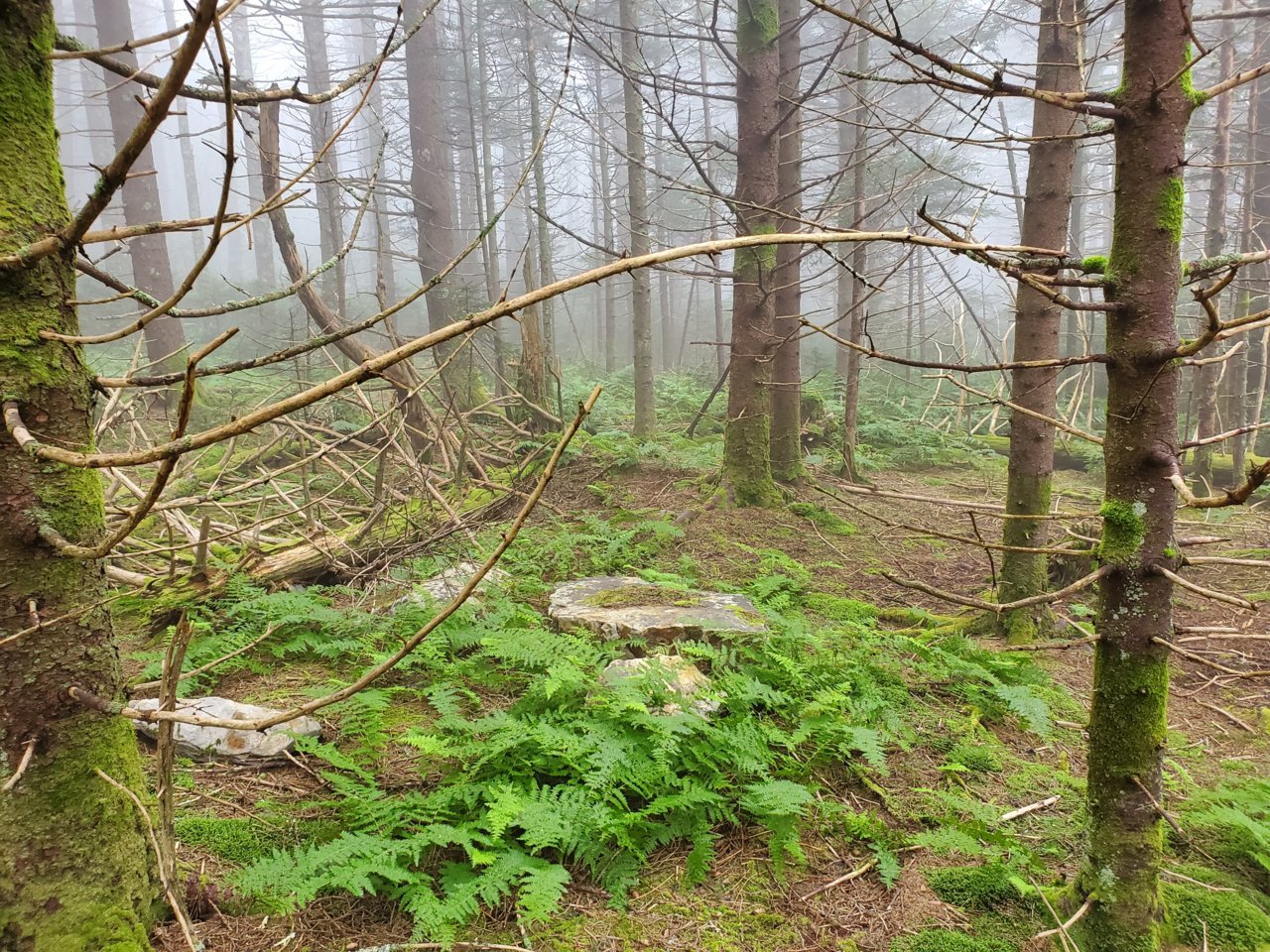 20190808_105231.jpg
