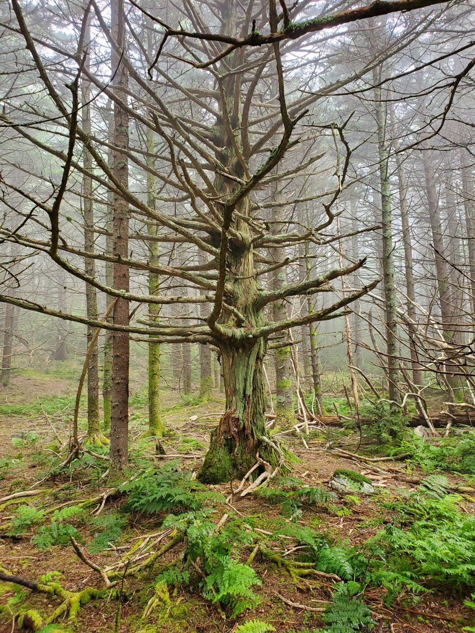 20190808_105701.jpg