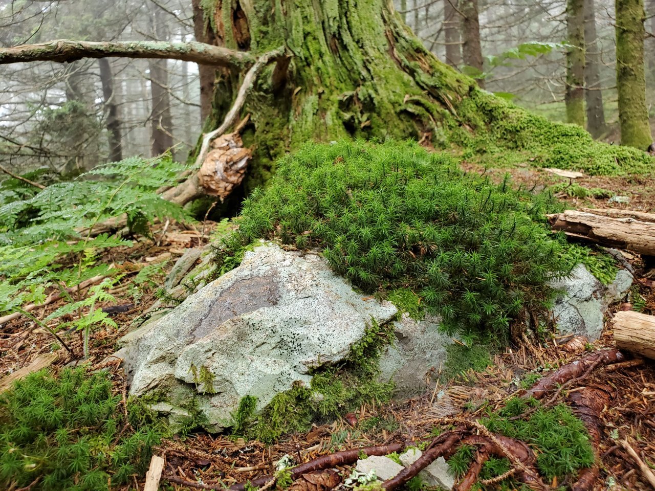 20190808_105735.jpg