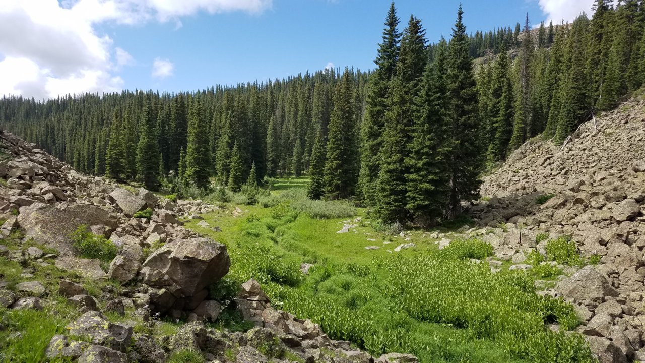 20190808_110232.jpg