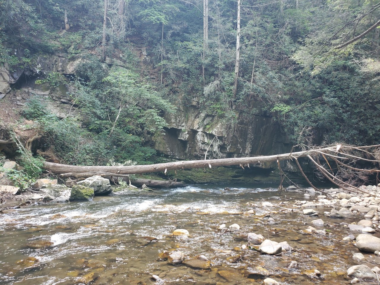 20190808_131425.jpg