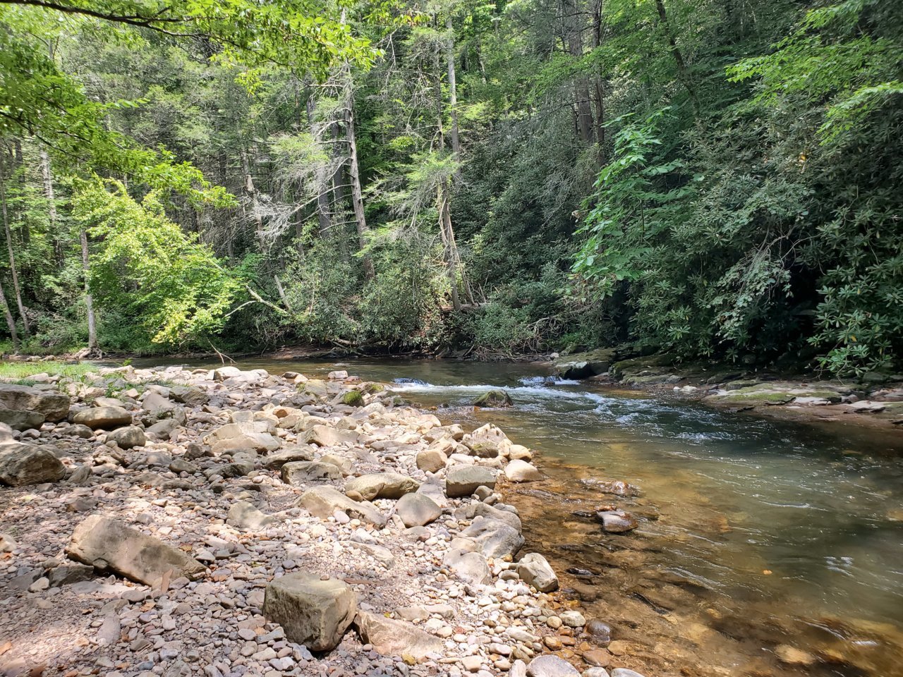20190808_131524.jpg