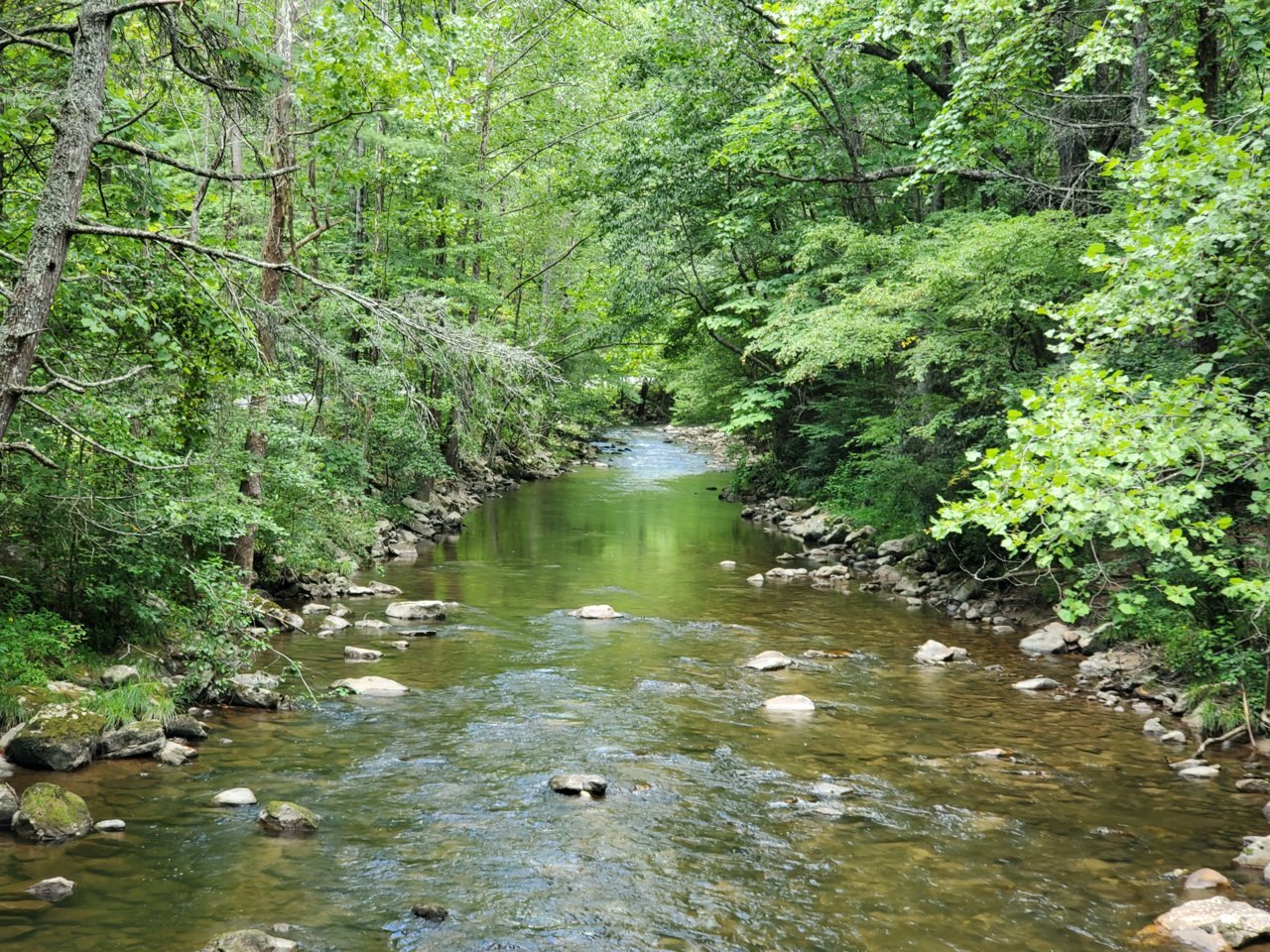 20190808_131925.jpg