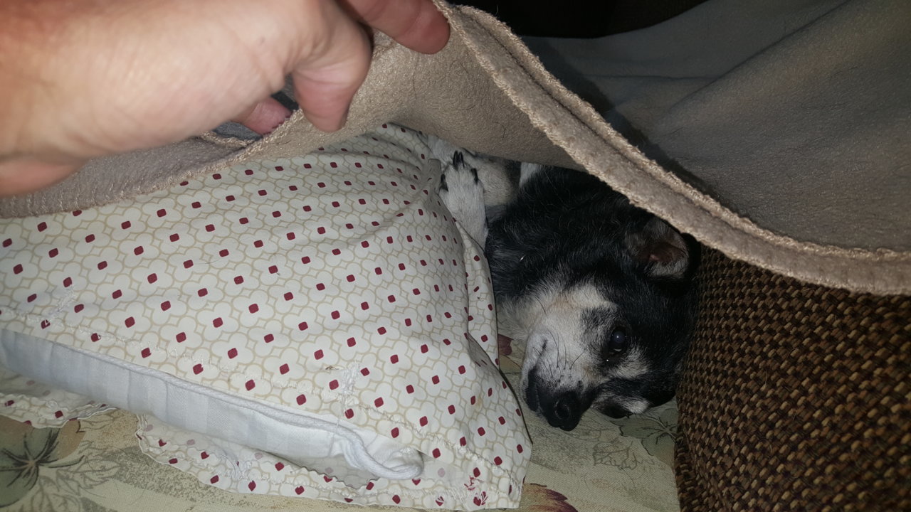 20190808_140933.jpg