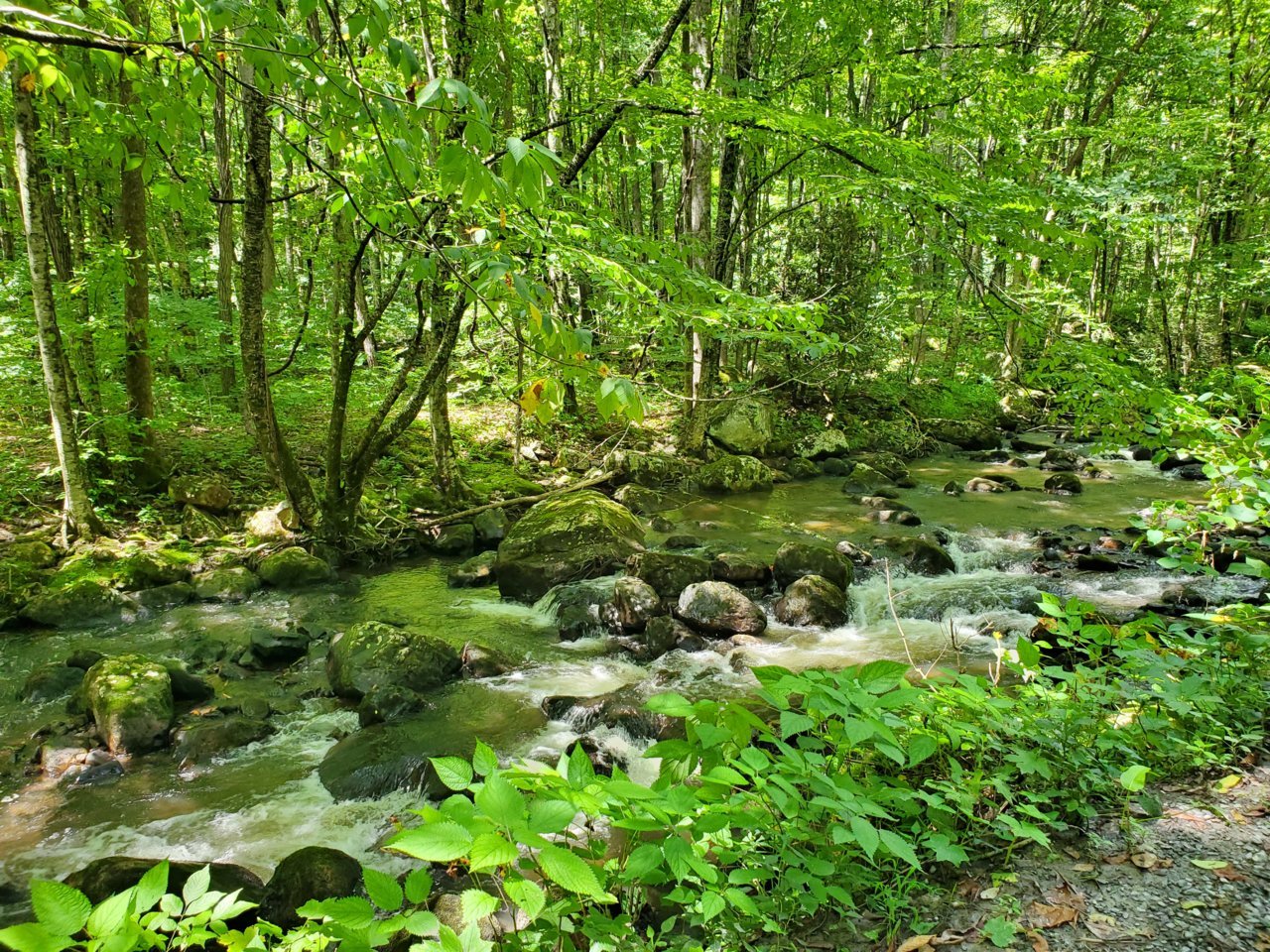 20190808_144043.jpg