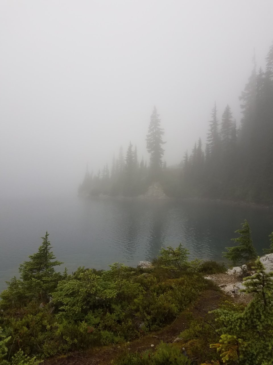 20190808_194925.jpg