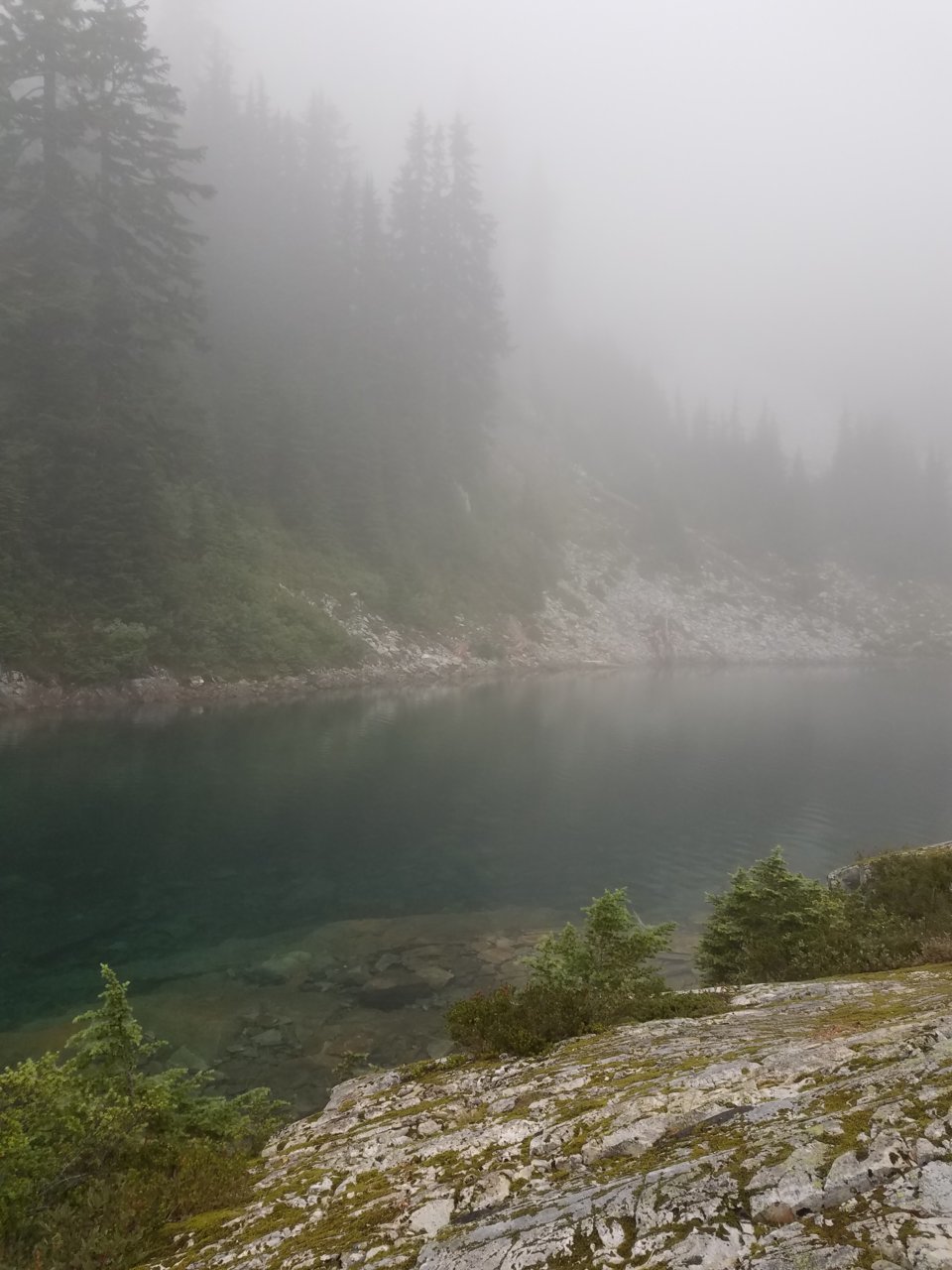 20190808_195004.jpg