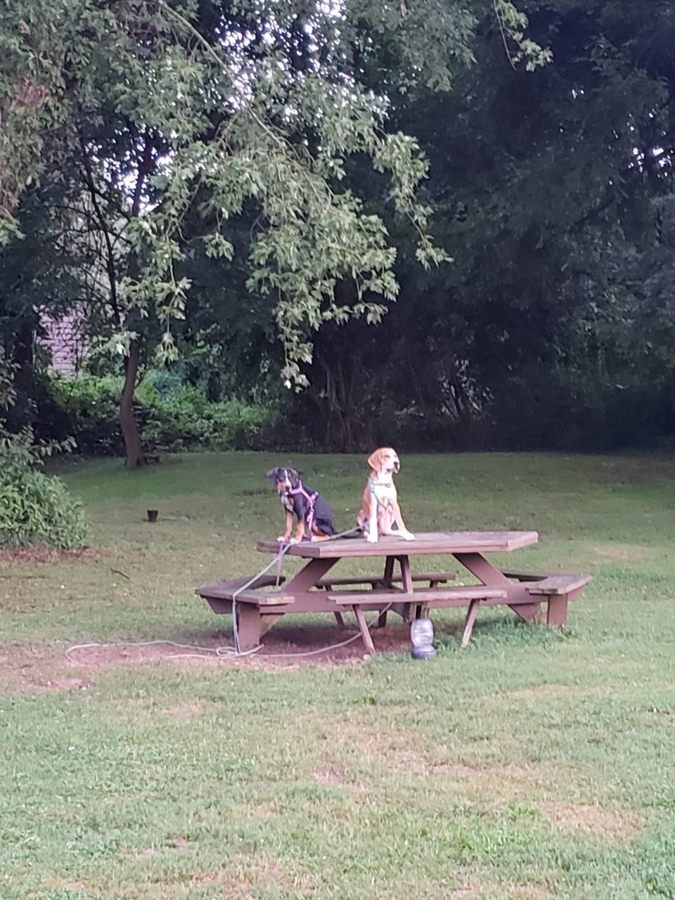 20190808_201218.jpg