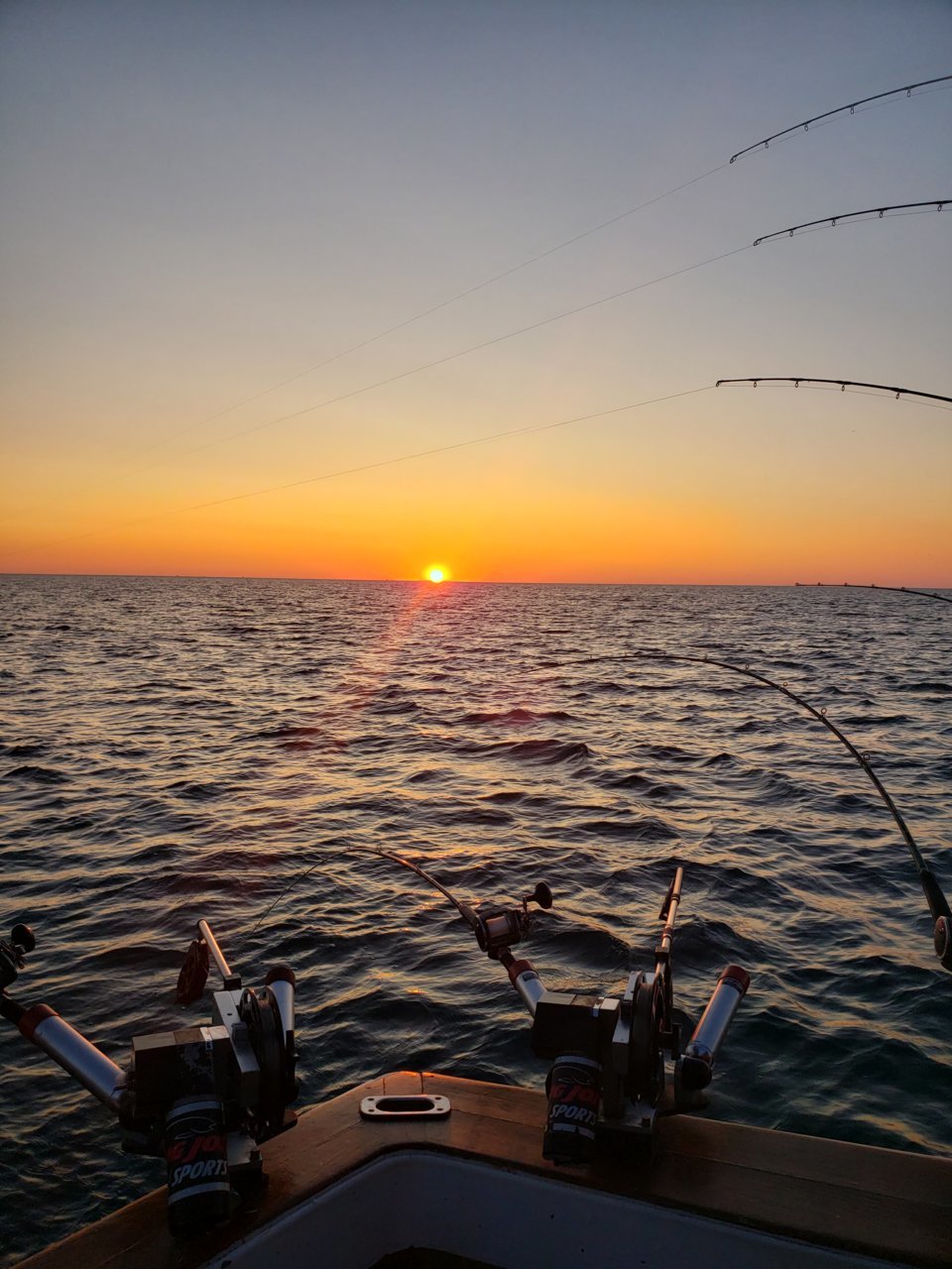 20190809_055255.jpg