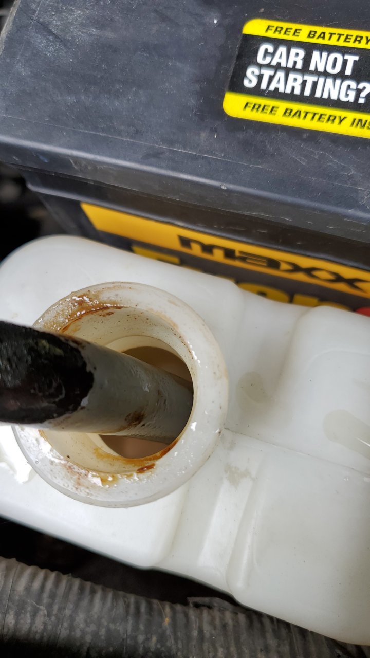 20190809_105929.jpg