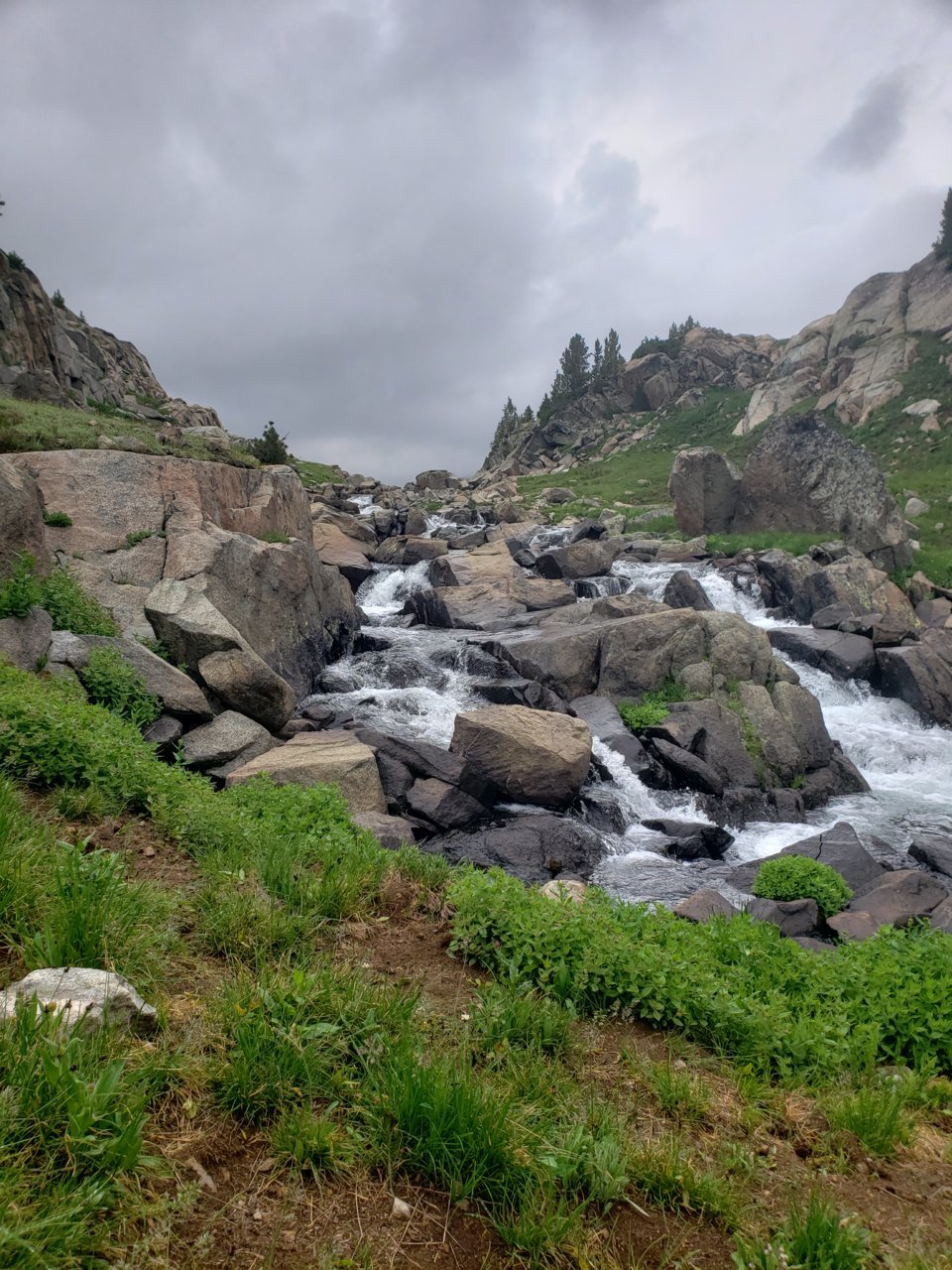 20190809_120355.jpg