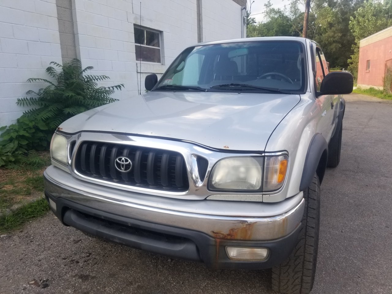 20190809_175819.jpg