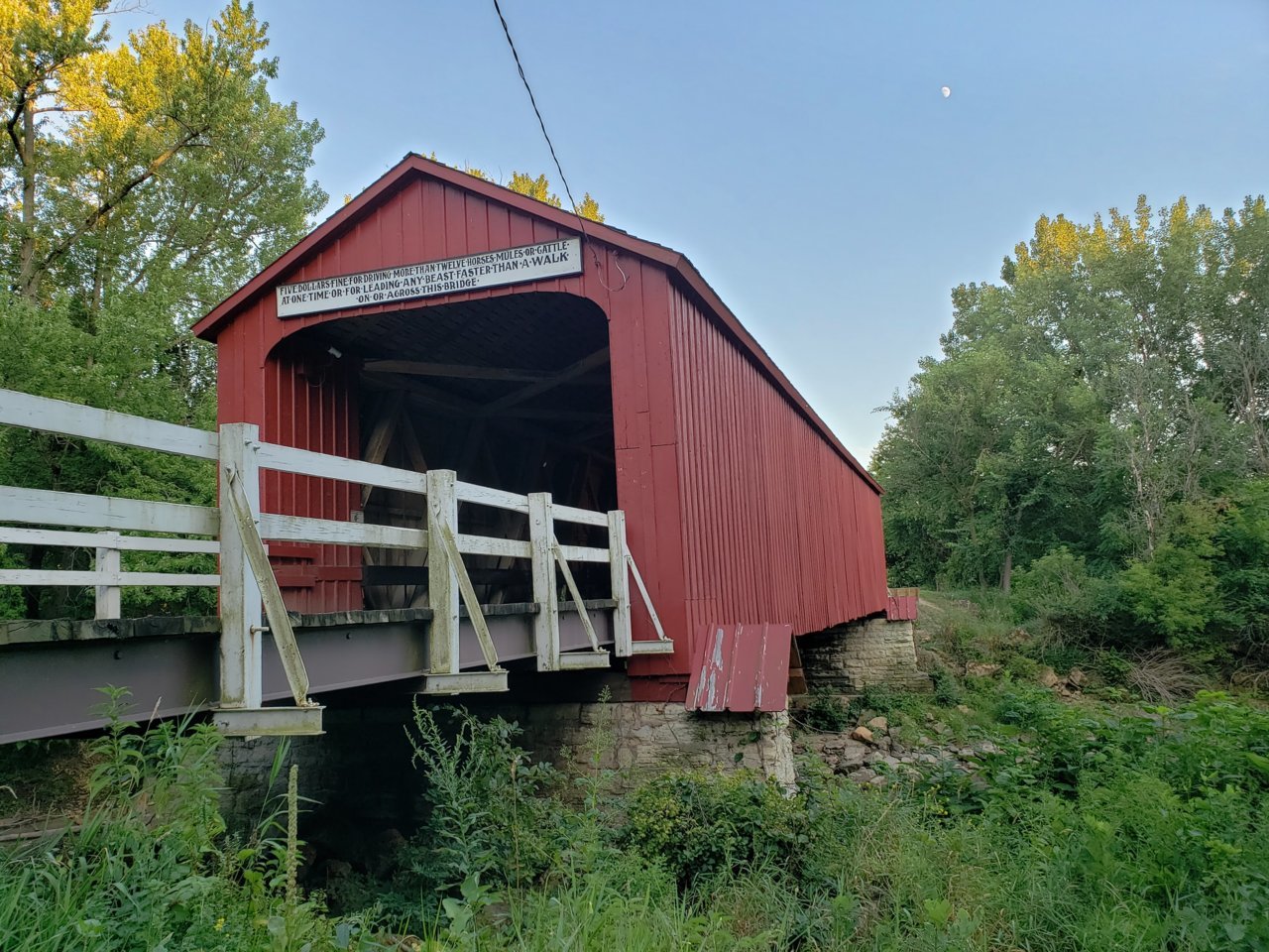 20190809_193354.jpg