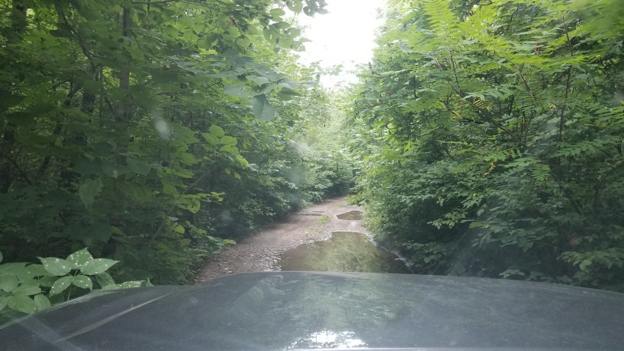 20190810_072332.jpg